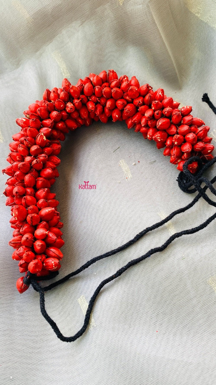 Red Mallipoo - HA016