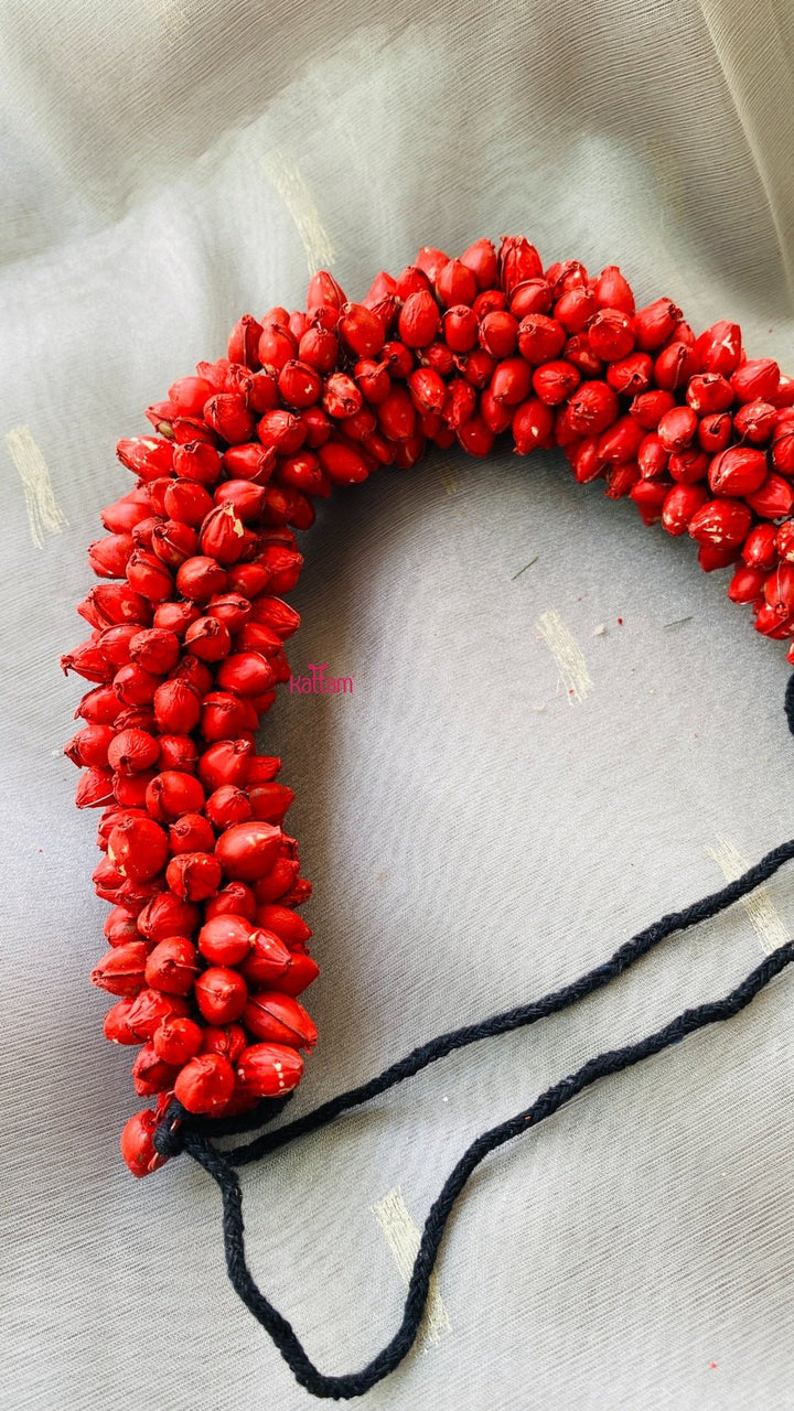 Red Mallipoo - HA016