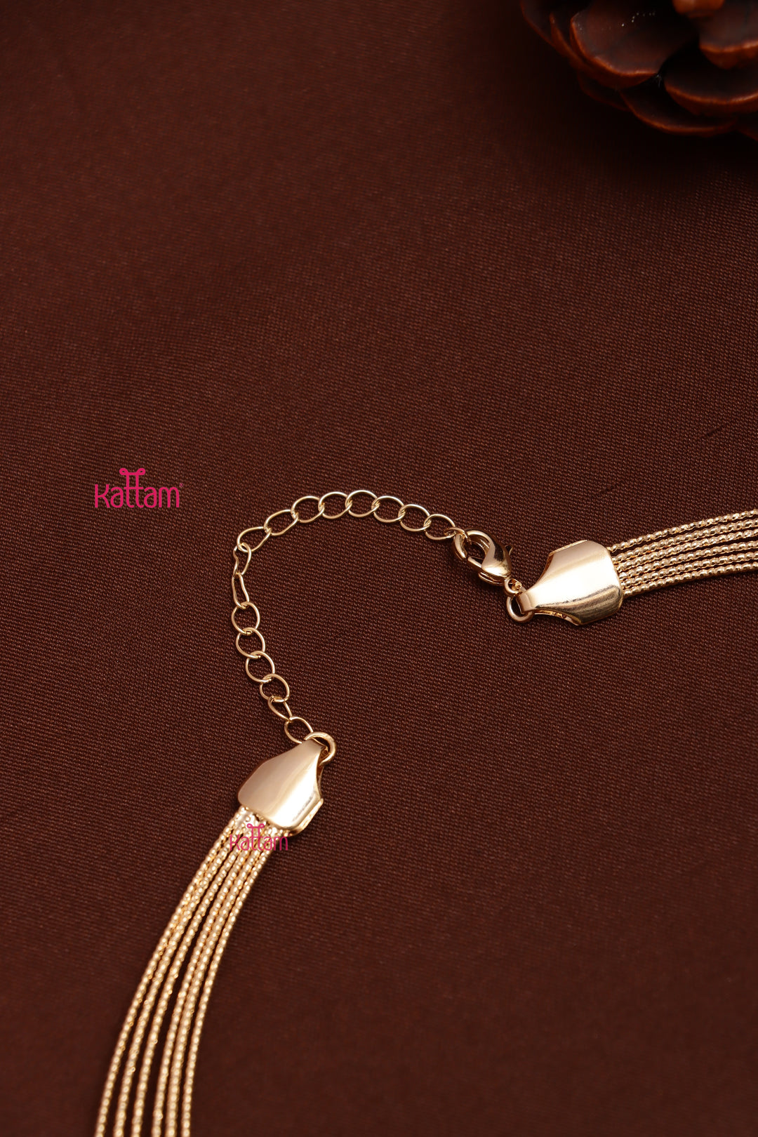 String Hasli