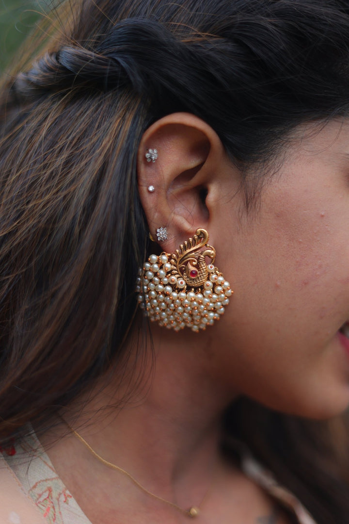 Peacock Pearl Beaded Earring - E488