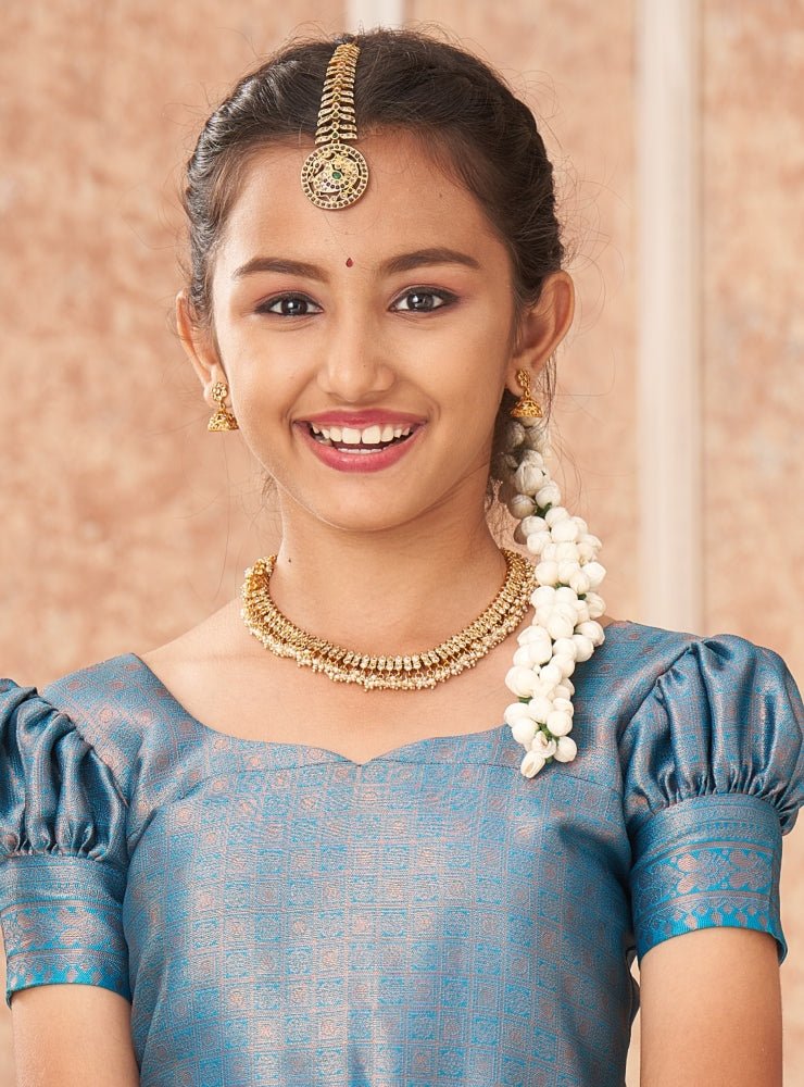 White Stone Pearl Trim Choker - N1916